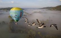 Voler avec les oiseaux
