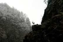 Le saut du cerf !