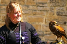 Le dressage des rapaces