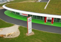 Toit végétal