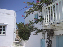 Bougainvilliers dans les ruelles de Chora