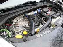 Clio Estate