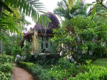 The Village Resort