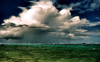 LE VENT L’EMPORTERA