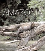 AMAZONIA - La source retrouvée