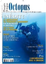 Octopus N°9