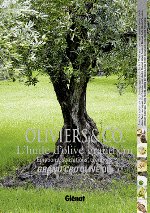 OLIVIERS &amp; CO, l'huile d'olive grand cru - Emotions, sensations, créations