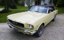 FORD mustang ...